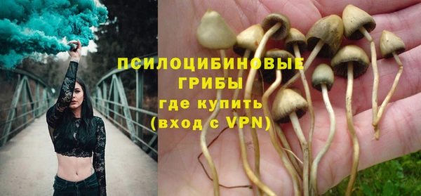 эйфоретик Аркадак