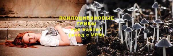 прущая мука Армянск