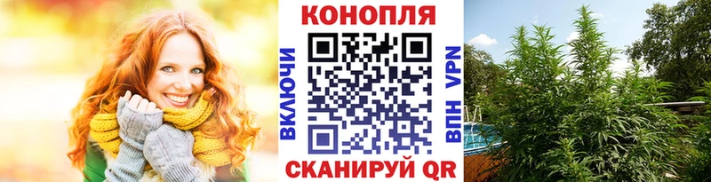 дарнет шоп  Иркутск  Канабис гибрид 